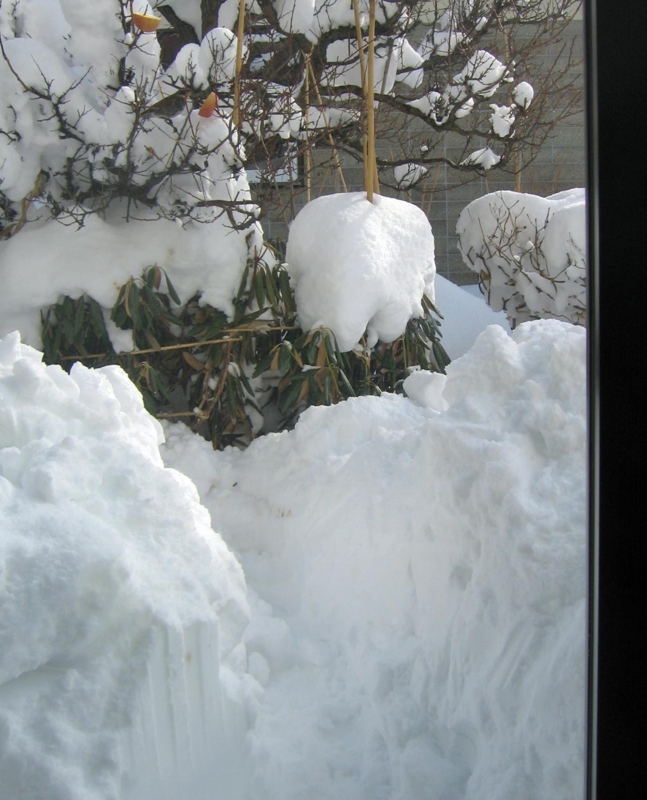 f:id:atarou:20130121065043j:image