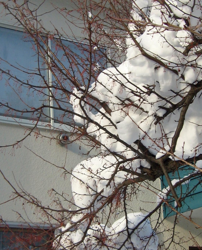 f:id:atarou:20130121085848j:image