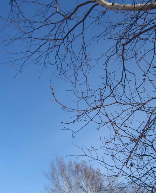 f:id:atarou:20130123063244j:image