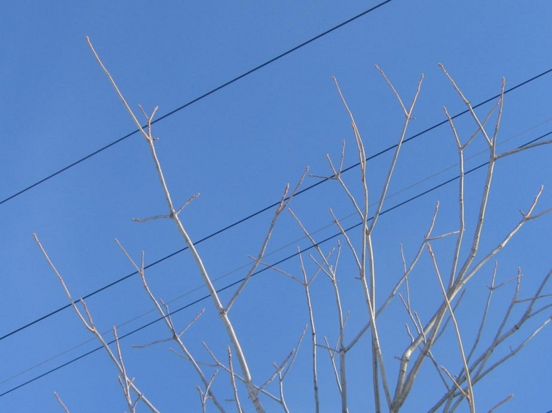f:id:atarou:20130123070456j:image