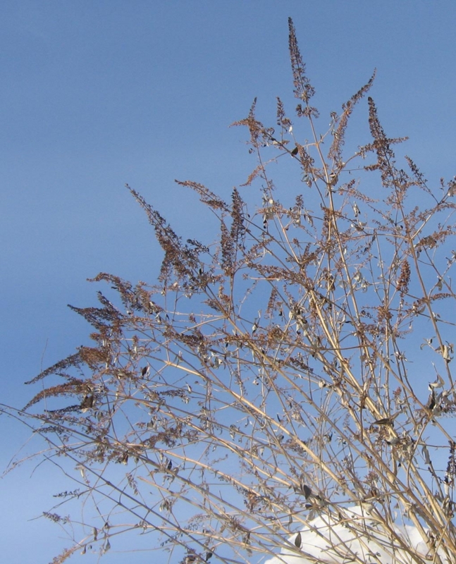 f:id:atarou:20130123071316j:image