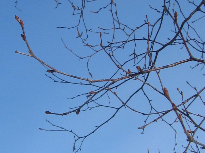 f:id:atarou:20130123091959j:image
