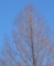20130124090937