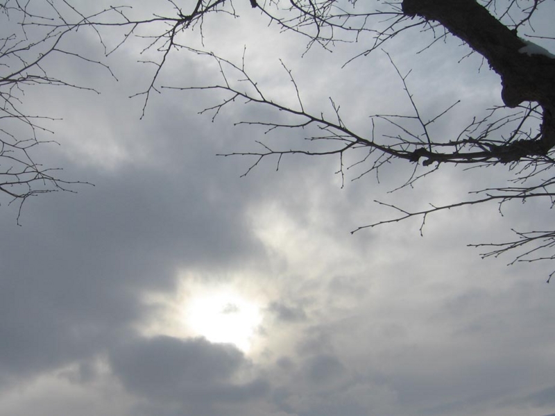 f:id:atarou:20130125071744j:image