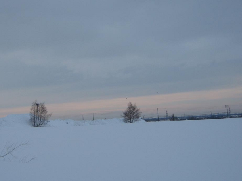 f:id:atarou:20130125090444j:image
