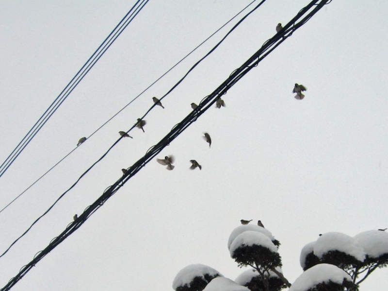 f:id:atarou:20130127070348j:image