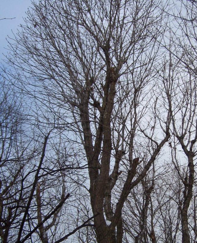 f:id:atarou:20130128065156j:image