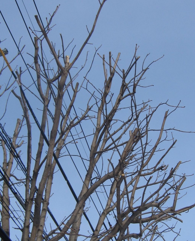 f:id:atarou:20130129085249j:image