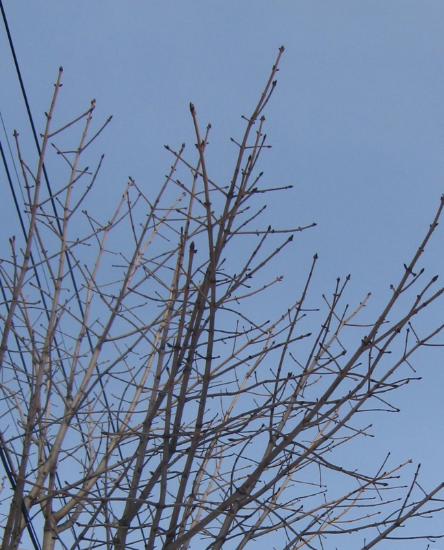 f:id:atarou:20130129085251j:image