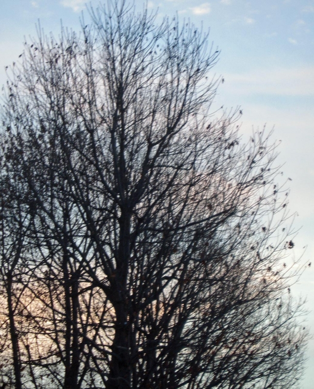 f:id:atarou:20130129090606j:image