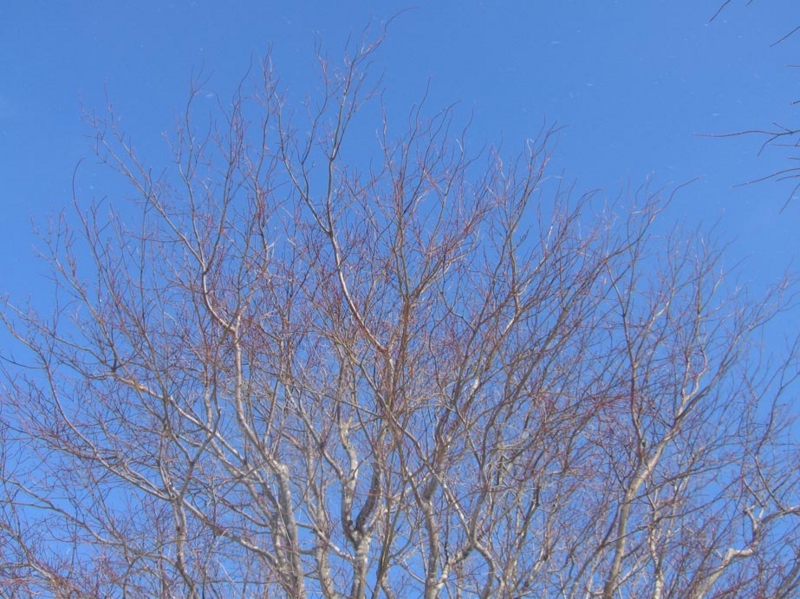 f:id:atarou:20130130064020j:image