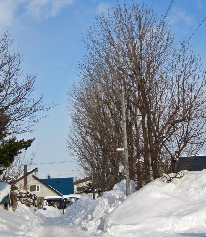 f:id:atarou:20130130064754j:image