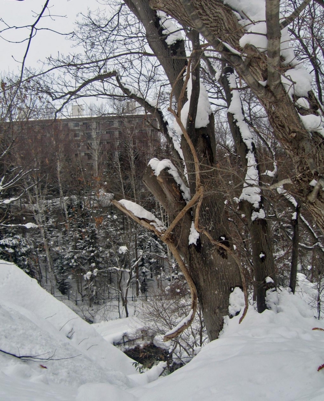 f:id:atarou:20130131071318j:image