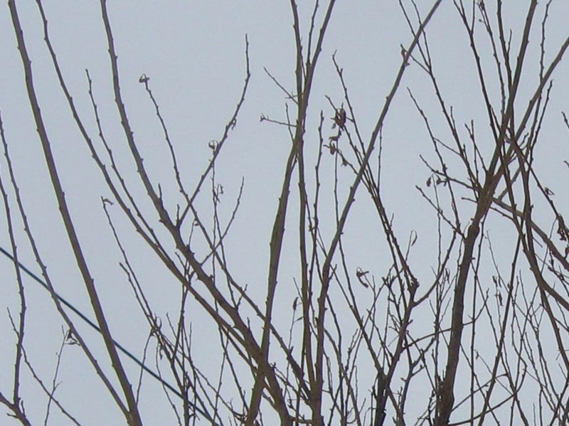 f:id:atarou:20130131071320j:image
