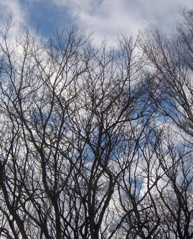 f:id:atarou:20130201055348j:image
