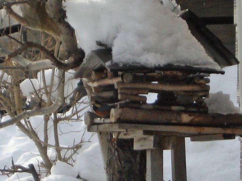 f:id:atarou:20130201062522j:image