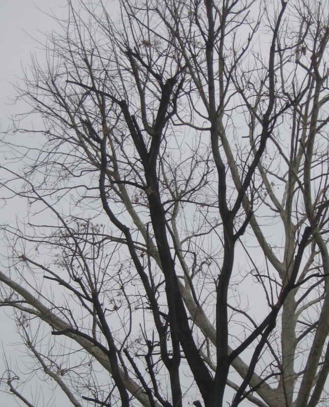f:id:atarou:20130202060314j:image