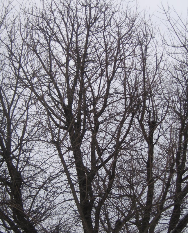 f:id:atarou:20130202061632j:image