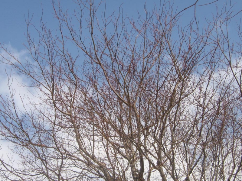 f:id:atarou:20130203070251j:image