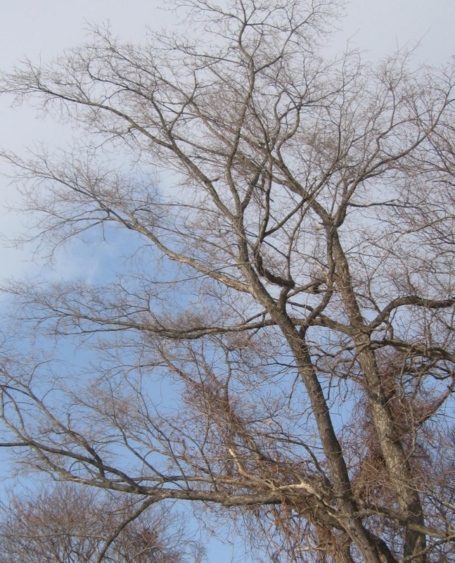 f:id:atarou:20130203070949j:image