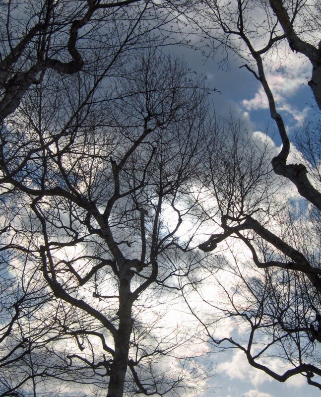 f:id:atarou:20130204062743j:image