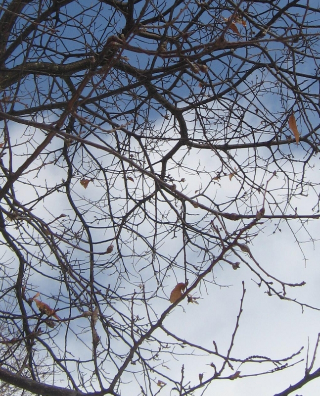 f:id:atarou:20130204070631j:image