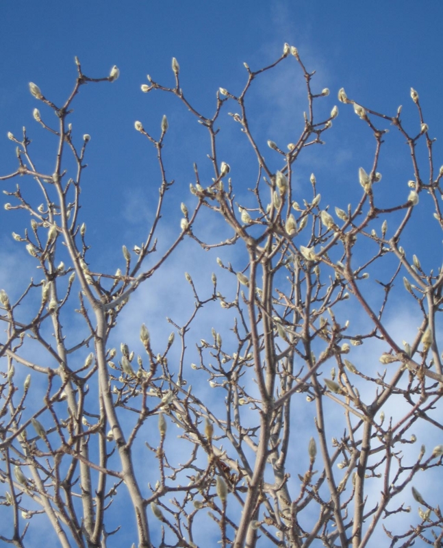 f:id:atarou:20130204084628j:image