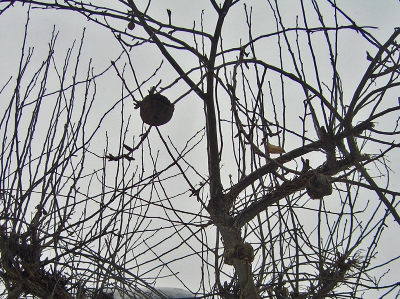 f:id:atarou:20130205084932j:image