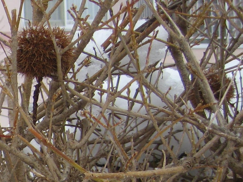 f:id:atarou:20130205085354j:image