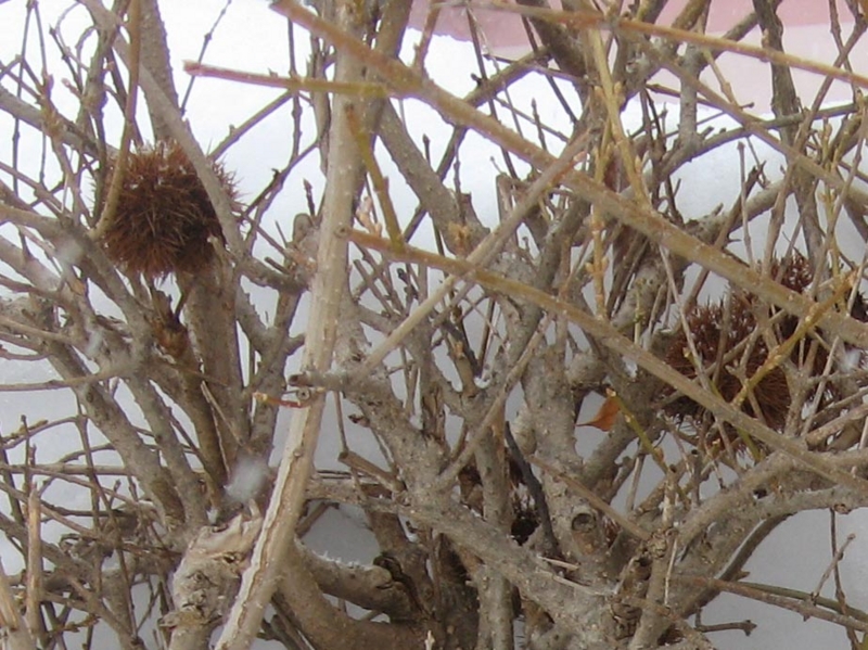 f:id:atarou:20130205085356j:image
