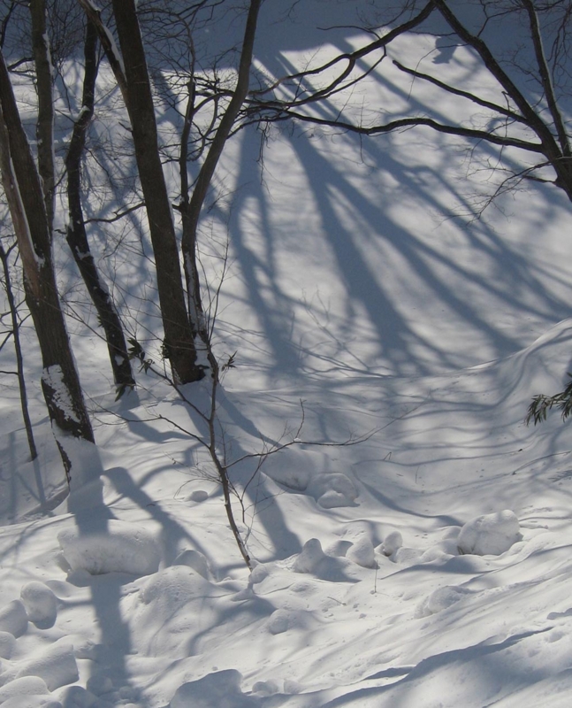 f:id:atarou:20130206065650j:image