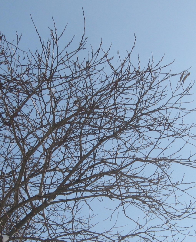 f:id:atarou:20130206065652j:image