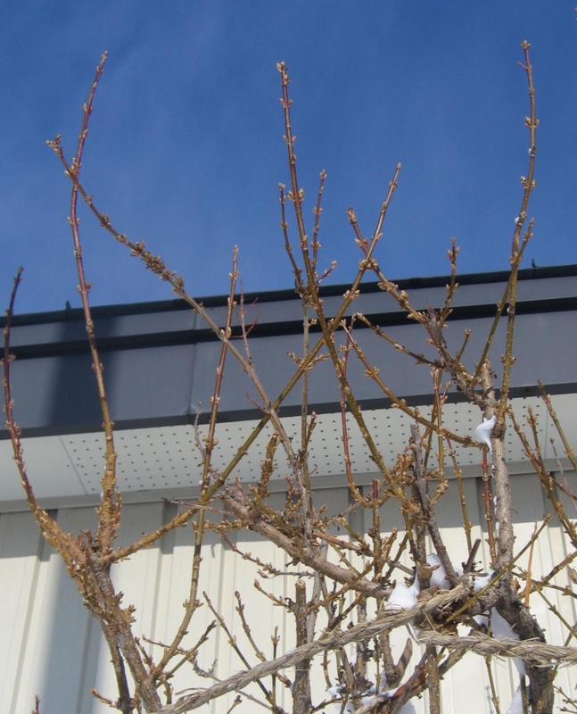 f:id:atarou:20130206083108j:image