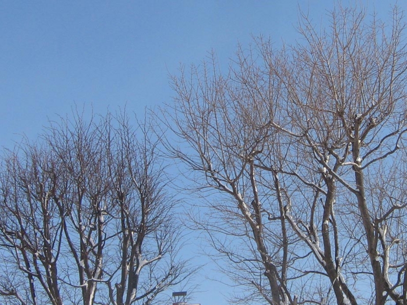f:id:atarou:20130206083532j:image