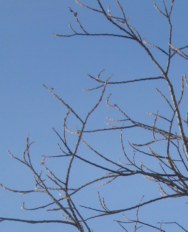 f:id:atarou:20130207065044j:image