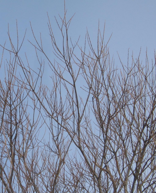 f:id:atarou:20130207071442j:image