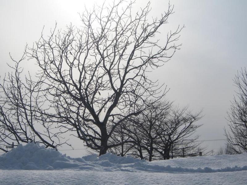 f:id:atarou:20130207071444j:image