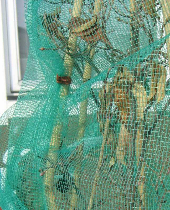 f:id:atarou:20130207084933j:image