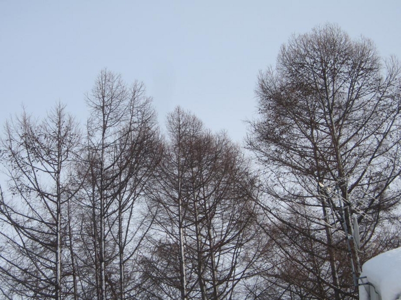 f:id:atarou:20130207084935j:image