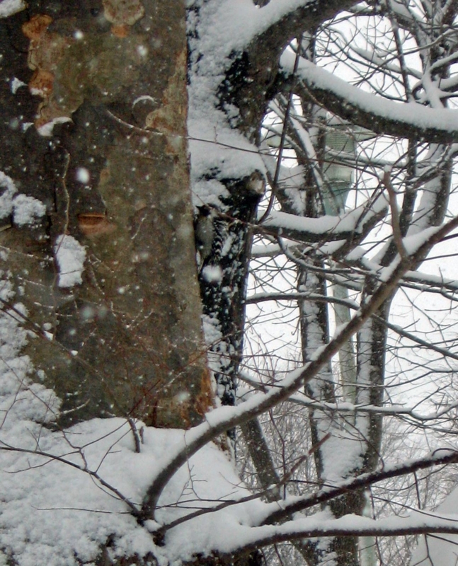 f:id:atarou:20130208062343j:image