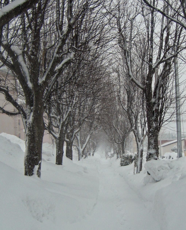 f:id:atarou:20130208063742j:image