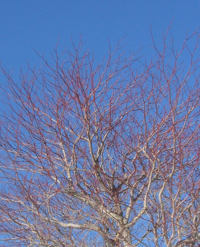 f:id:atarou:20130210065752j:image f:id:atarou:20130210065752j:image