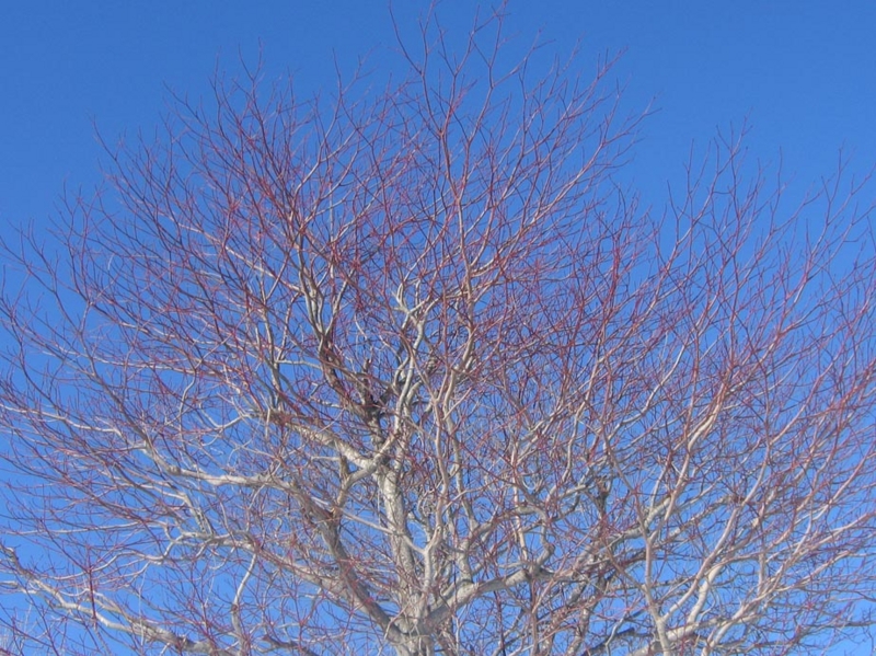 f:id:atarou:20130210071912j:image f:id:atarou:20130210071912j:image