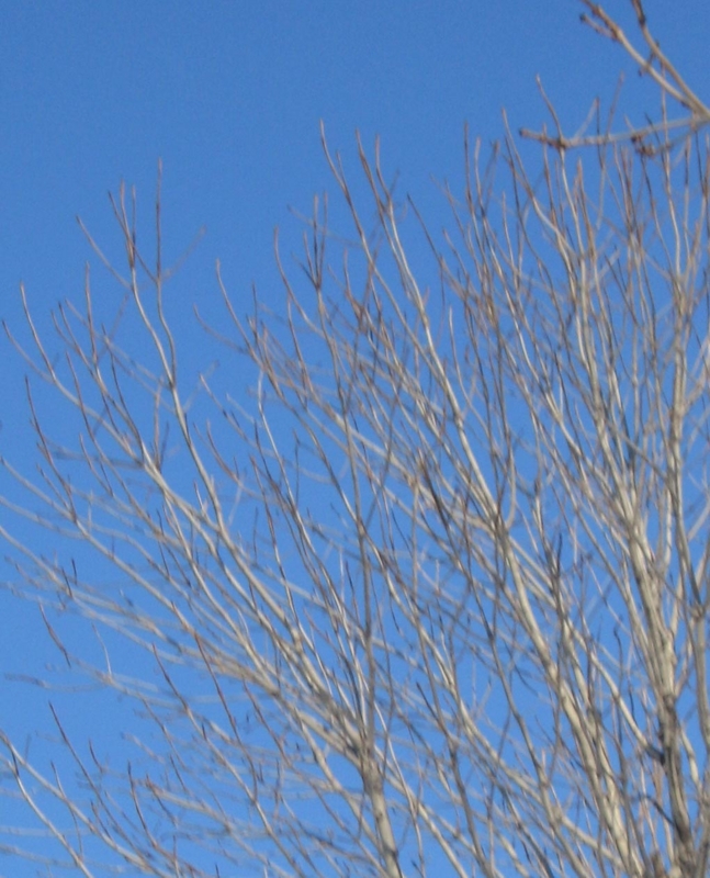 f:id:atarou:20130210071913j:image f:id:atarou:20130210071913j:image