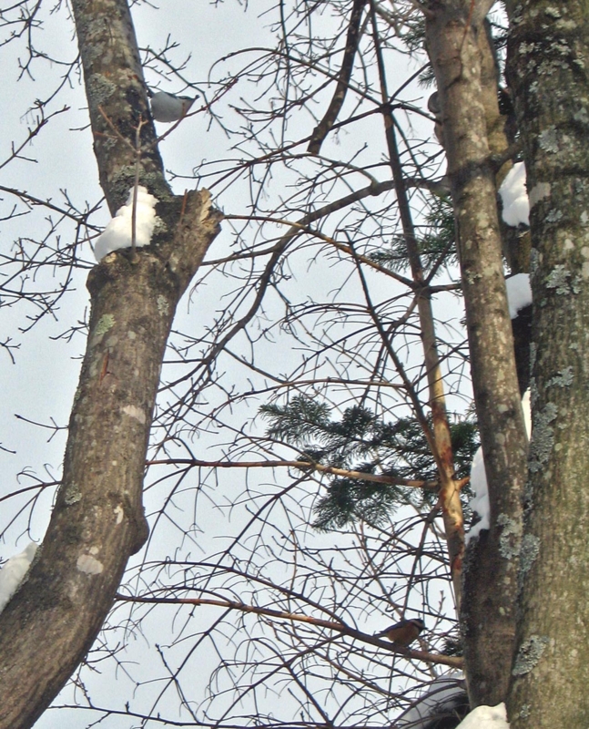 f:id:atarou:20130211064921j:image