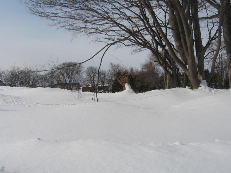f:id:atarou:20130211071352j:image