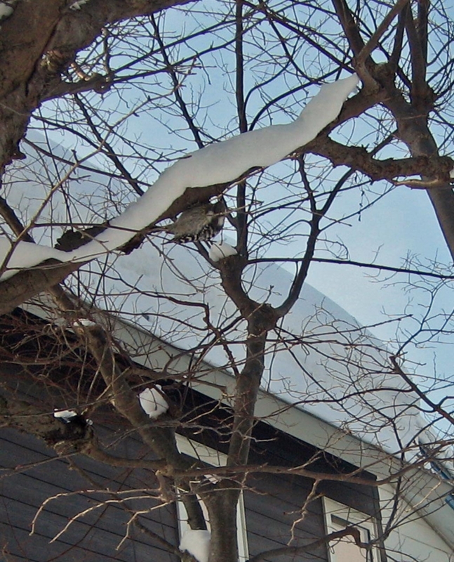 f:id:atarou:20130211092338j:image