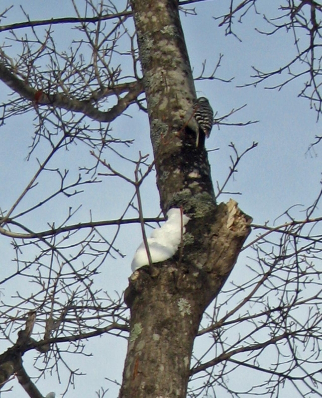 f:id:atarou:20130211092339j:image