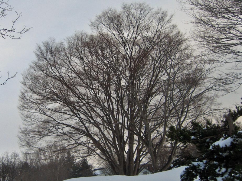 f:id:atarou:20130211093423j:image