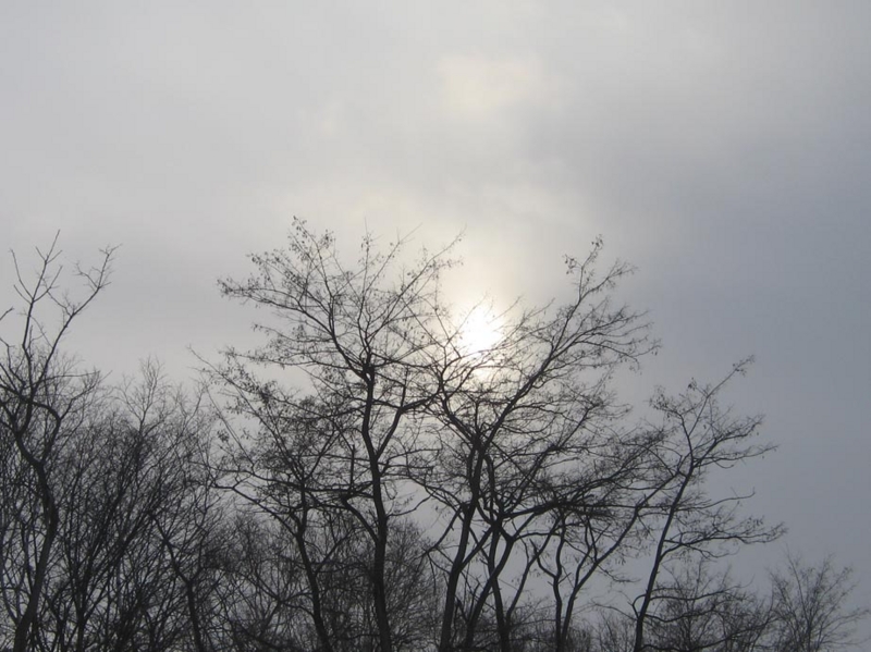 f:id:atarou:20130211093653j:image